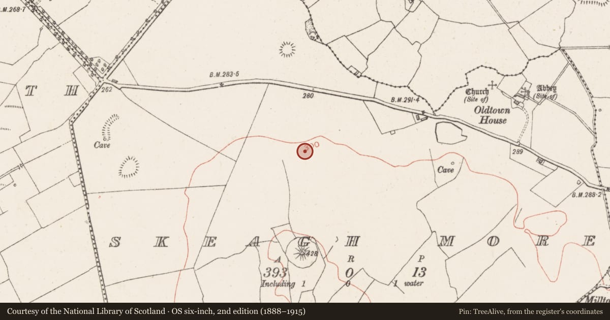 Ordnance Survey six-inch map, 2nd edition (1888–1915) covering the location of Earthwork, Skeagh More, County Westmeath, with a pin at the register's coordinates