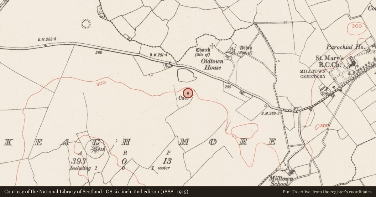 Ordnance Survey six-inch map, 2nd edition (1888–1915) covering the location of Souterrain, Skeagh More, County Westmeath, with a pin at the register's coordinates