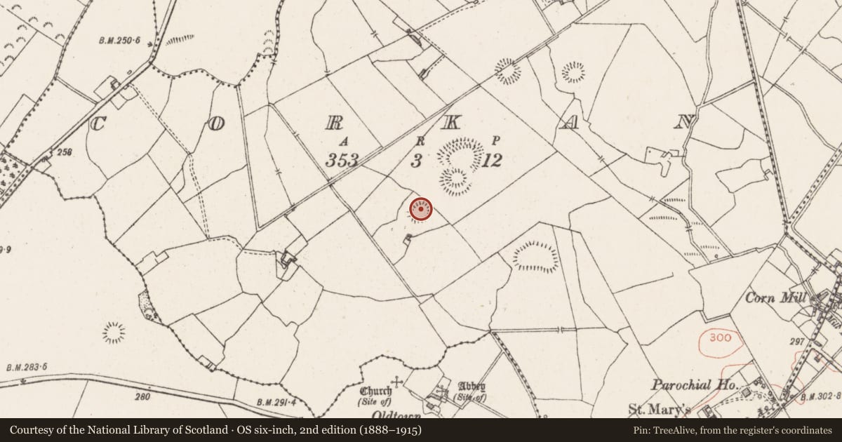Ordnance Survey six-inch map, 2nd edition (1888–1915) covering the location of Ringfort - rath, Corkan, County Westmeath, with a pin at the register's coordinates