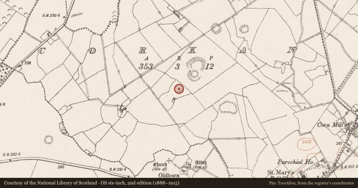 Ordnance Survey six-inch map, 2nd edition (1888–1915) covering the location of Hut site, Corkan, County Westmeath, with a pin at the register's coordinates