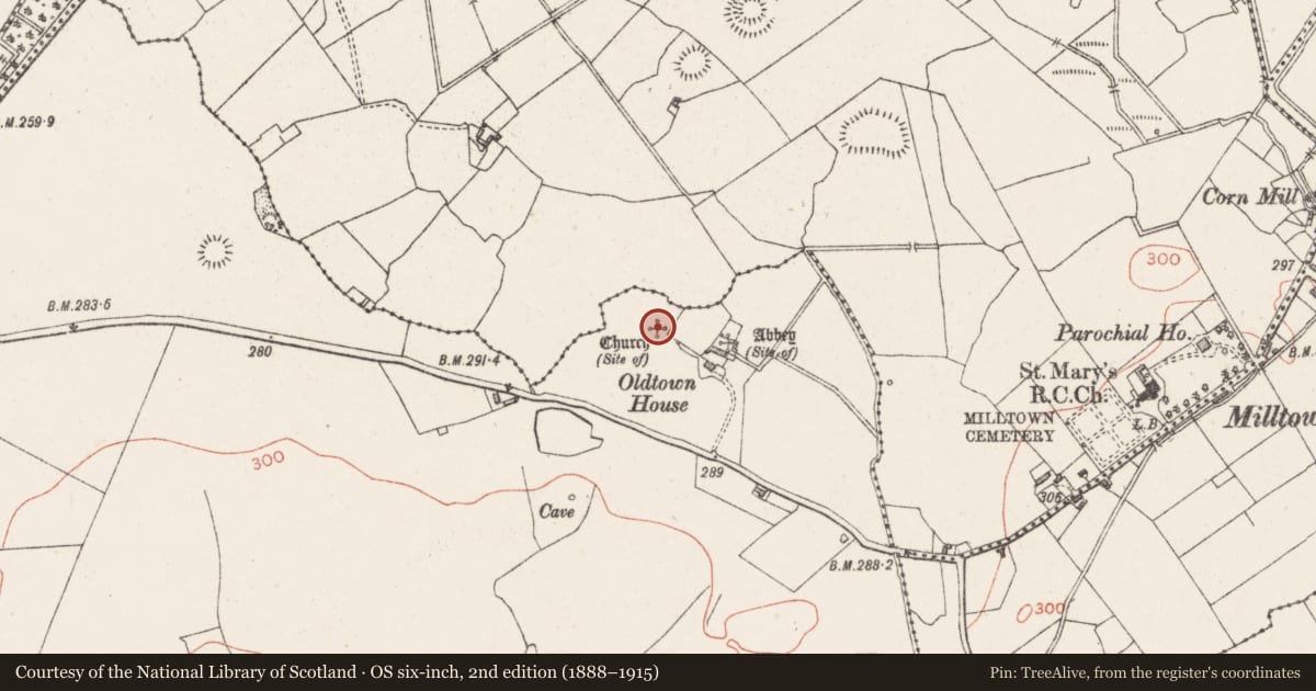 Ordnance Survey six-inch map, 2nd edition (1888–1915) covering the location of Church, Skeagh More, County Westmeath, with a pin at the register's coordinates