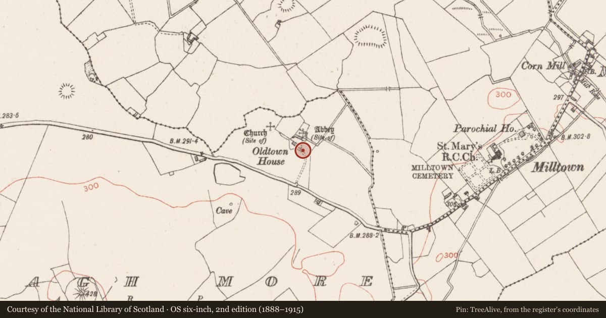 Ordnance Survey six-inch map, 2nd edition (1888–1915) covering the location of Ogham stone, Skeagh More, County Westmeath, with a pin at the register's coordinates