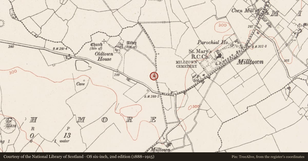 Ordnance Survey six-inch map, 2nd edition (1888–1915) covering the location of Souterrain, Skeagh More, County Westmeath, with a pin at the register's coordinates