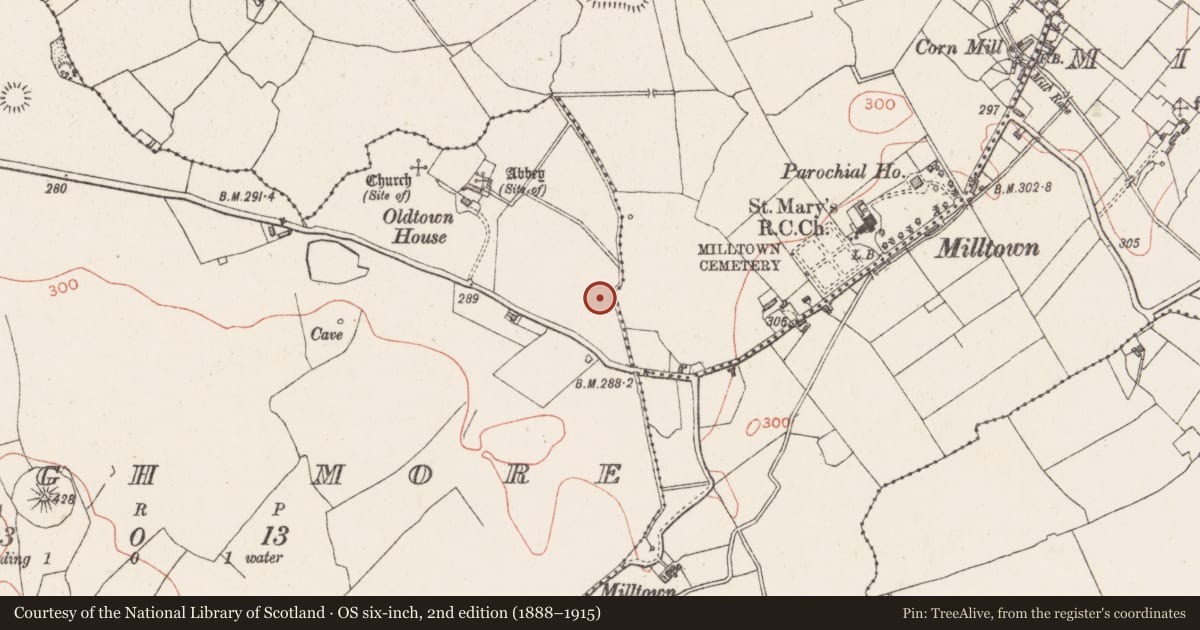 Ordnance Survey six-inch map, 2nd edition (1888–1915) covering the location of Ringfort - rath, Skeagh More, County Westmeath, with a pin at the register's coordinates