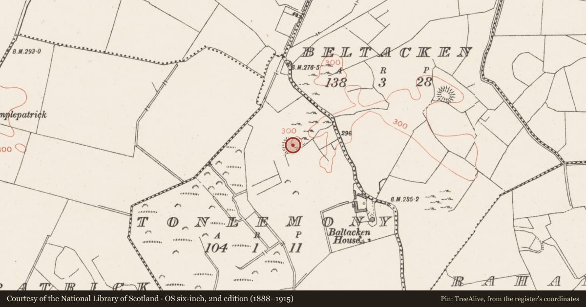 Ordnance Survey six-inch map, 2nd edition (1888–1915) covering the location of Ringfort - rath, Tonlemony, County Westmeath, with a pin at the register's coordinates