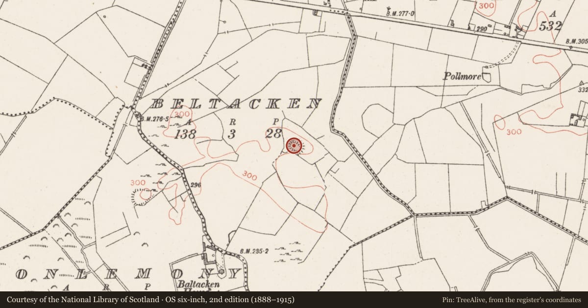 Ordnance Survey six-inch map, 2nd edition (1888–1915) covering the location of Ringfort - rath, Beltacken, County Westmeath, with a pin at the register's coordinates