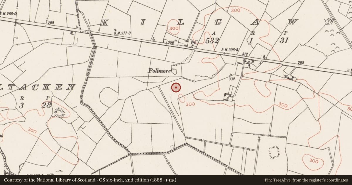 Ordnance Survey six-inch map, 2nd edition (1888–1915) covering the location of Ringfort - rath, Kilgawny, County Westmeath, with a pin at the register's coordinates