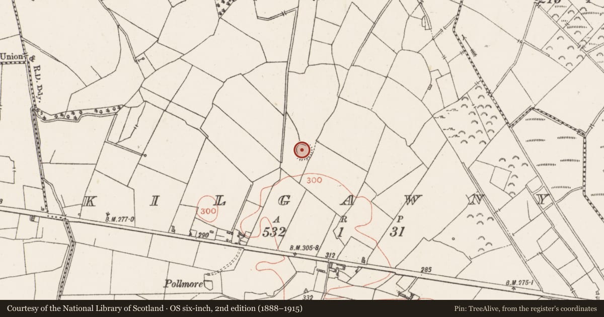 Ordnance Survey six-inch map, 2nd edition (1888–1915) covering the location of Ringfort - rath, Kilgawny, County Westmeath, with a pin at the register's coordinates