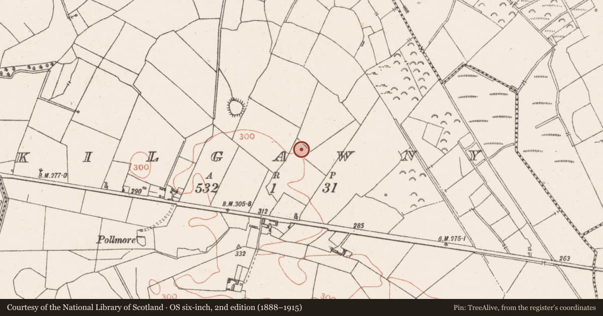 Ordnance Survey six-inch map, 2nd edition (1888–1915) covering the location of Ringfort - rath, Kilgawny, County Westmeath, with a pin at the register's coordinates