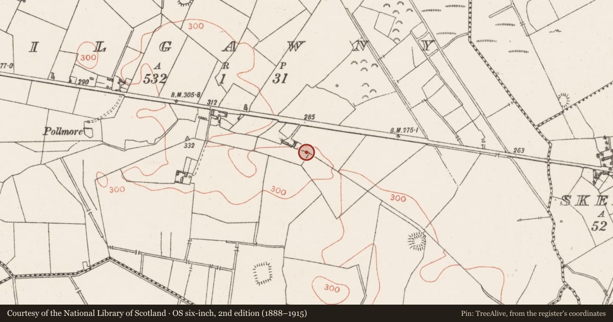 Ordnance Survey six-inch map, 2nd edition (1888–1915) covering the location of Road - road/trackway, Kilgawny, County Westmeath, with a pin at the register's coordinates