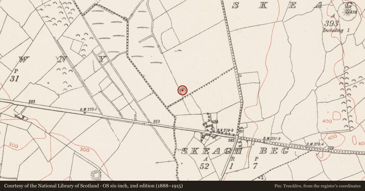 Ordnance Survey six-inch map, 2nd edition (1888–1915) covering the location of Barrow - unclassified, Balrath, County Westmeath, with a pin at the register's coordinates