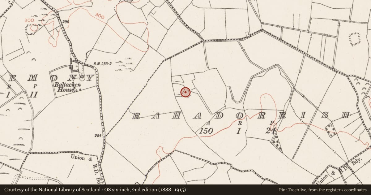 Ordnance Survey six-inch map, 2nd edition (1888–1915) covering the location of Ringfort - unclassified, Rahadorrish, County Westmeath, with a pin at the register's coordinates