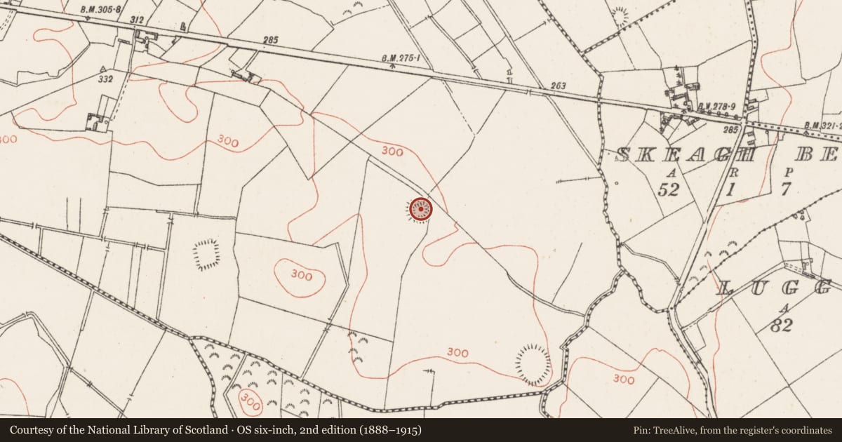 Ordnance Survey six-inch map, 2nd edition (1888–1915) covering the location of Ringfort - rath, Kilgawny, County Westmeath, with a pin at the register's coordinates