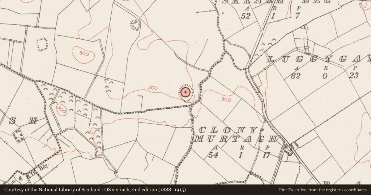 Ordnance Survey six-inch map, 2nd edition (1888–1915) covering the location of Ringfort - rath, Kilgawny, County Westmeath, with a pin at the register's coordinates