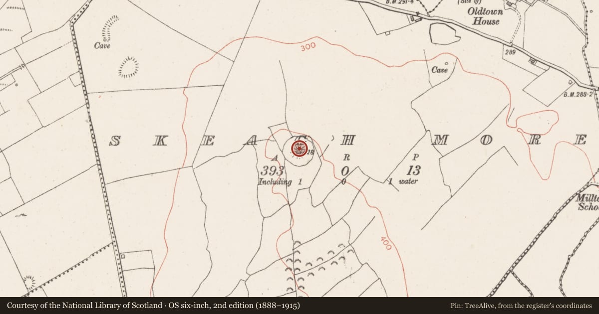 Ordnance Survey six-inch map, 2nd edition (1888–1915) covering the location of Mound, Skeagh More, County Westmeath, with a pin at the register's coordinates