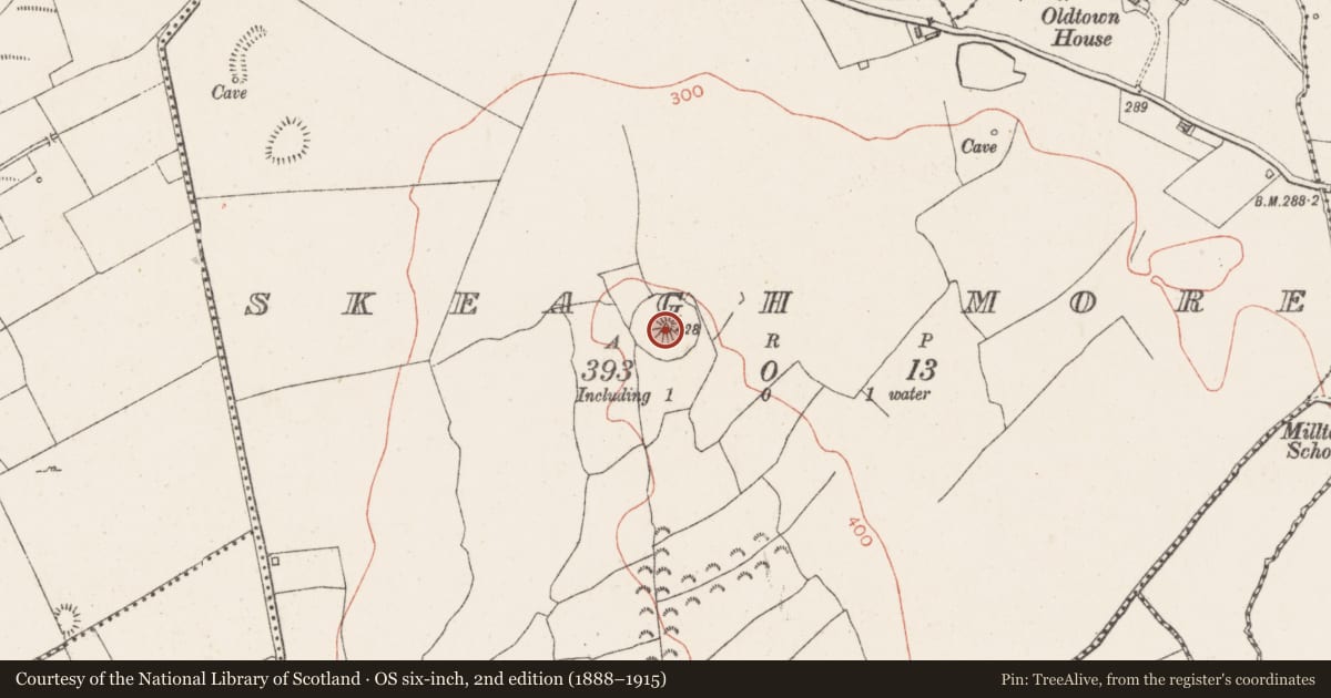 Ordnance Survey six-inch map, 2nd edition (1888–1915) covering the location of Bullring, Skeagh More, County Westmeath, with a pin at the register's coordinates