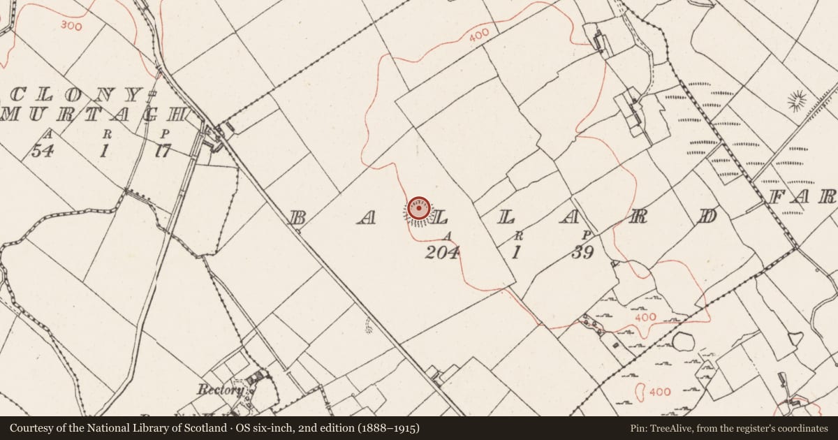 Ordnance Survey six-inch map, 2nd edition (1888–1915) covering the location of Ringfort - rath, Ballard, County Westmeath, with a pin at the register's coordinates