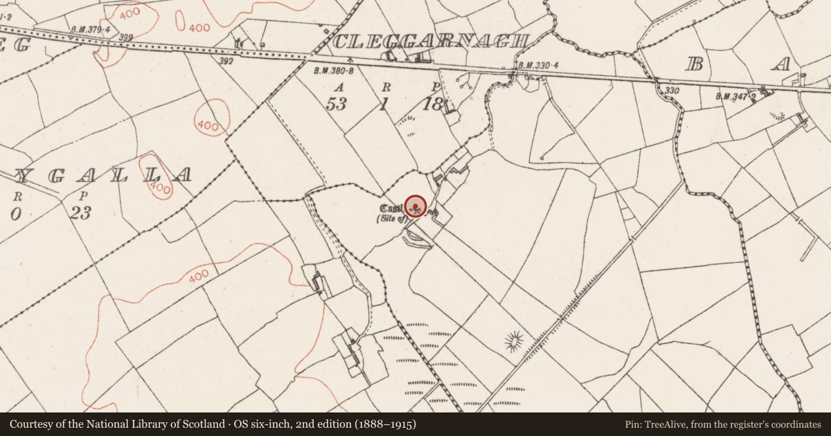 Ordnance Survey six-inch map, 2nd edition (1888–1915) covering the location of Castle - tower house, Farthingstown, County Westmeath, with a pin at the register's coordinates