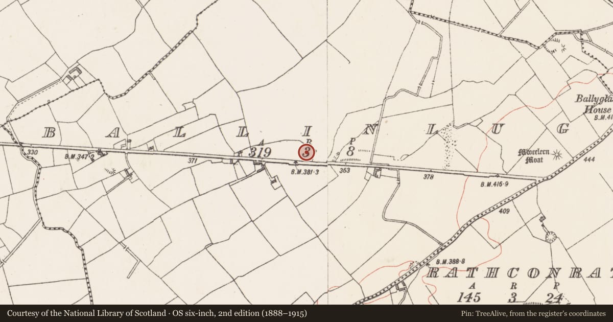 Ordnance Survey six-inch map, 2nd edition (1888–1915) covering the location of Ringfort - unclassified, Ballinlug, County Westmeath, with a pin at the register's coordinates