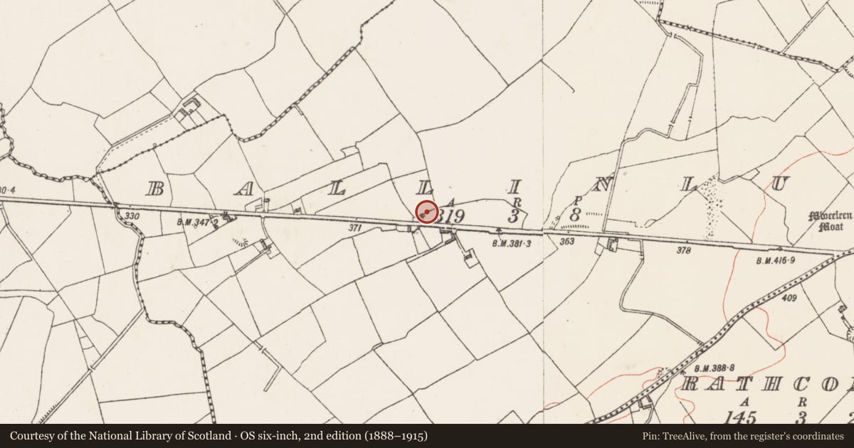 Ordnance Survey six-inch map, 2nd edition (1888–1915) covering the location of Rock art, Ballinlug, County Westmeath, with a pin at the register's coordinates