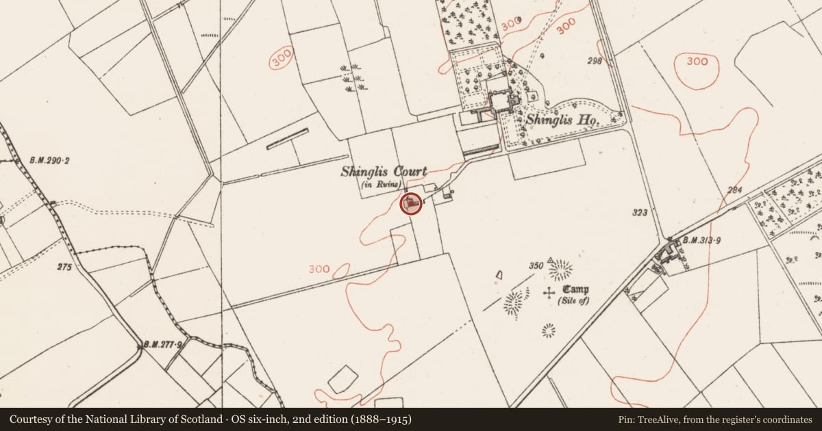 Ordnance Survey six-inch map, 2nd edition (1888–1915) covering the location of Castle - unclassified, Shinglis, County Westmeath, with a pin at the register's coordinates