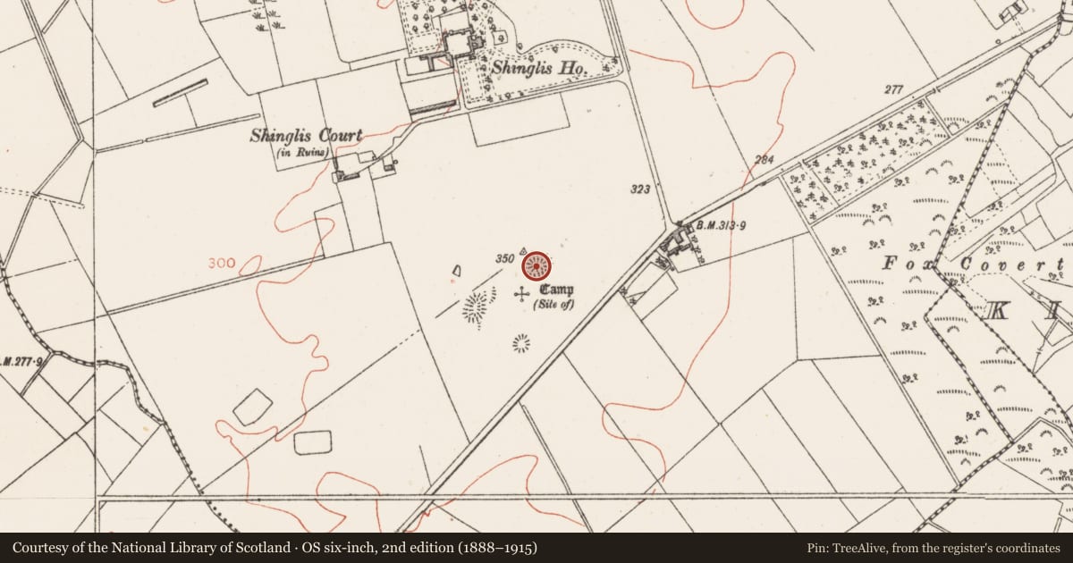 Ordnance Survey six-inch map, 2nd edition (1888–1915) covering the location of Ringfort - unclassified, Shinglis, County Westmeath, with a pin at the register's coordinates