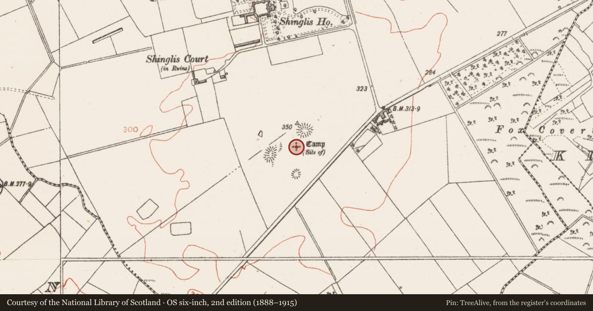 Ordnance Survey six-inch map, 2nd edition (1888–1915) covering the location of Military camp, Shinglis, County Westmeath, with a pin at the register's coordinates