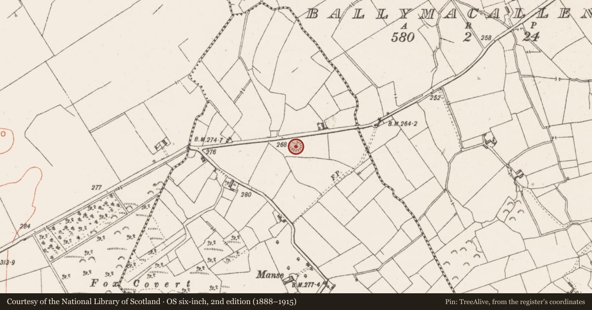 Ordnance Survey six-inch map, 2nd edition (1888–1915) covering the location of Ringfort - rath, Killeenboy, County Westmeath, with a pin at the register's coordinates