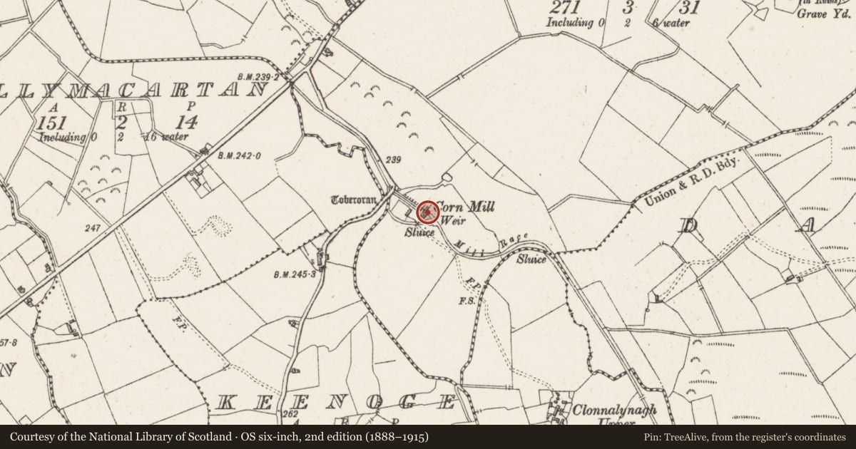Ordnance Survey six-inch map, 2nd edition (1888–1915) covering the location of Water mill - vertical-wheeled, Temple Patrick, County Westmeath, with a pin at the register's coordinates