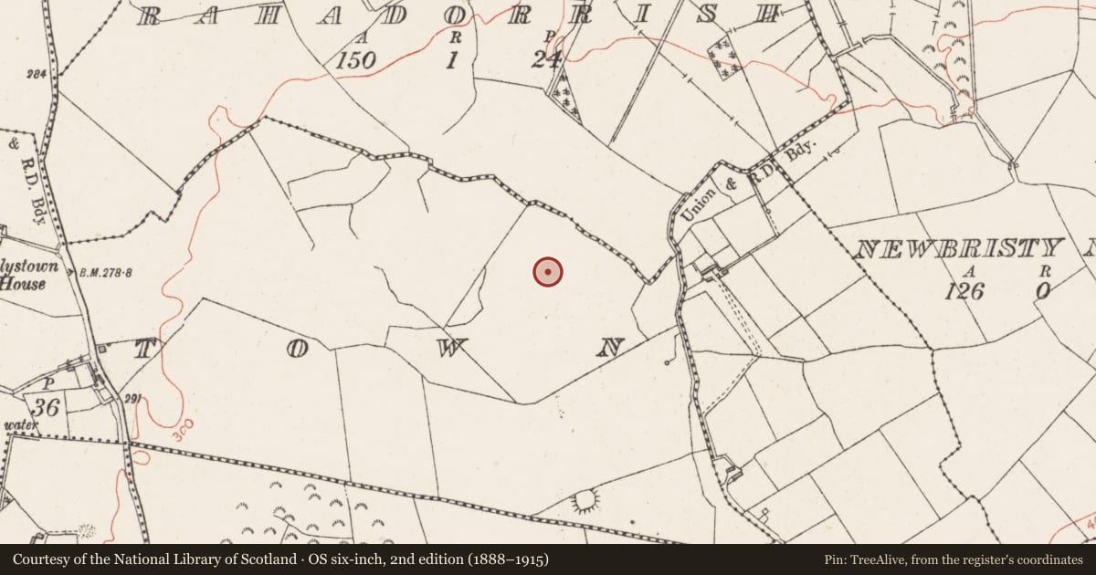 Ordnance Survey six-inch map, 2nd edition (1888–1915) covering the location of Enclosure, Dalystown, County Westmeath, with a pin at the register's coordinates