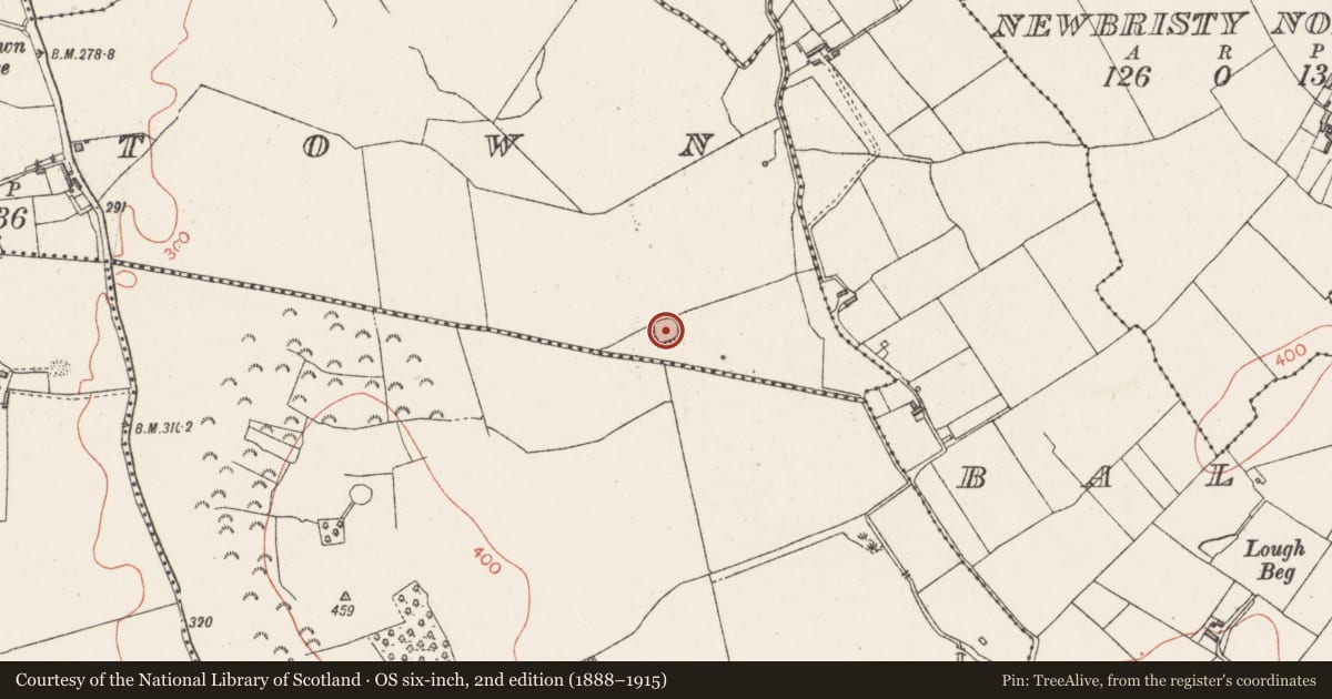 Ordnance Survey six-inch map, 2nd edition (1888–1915) covering the location of Ringfort - rath, Dalystown, County Westmeath, with a pin at the register's coordinates