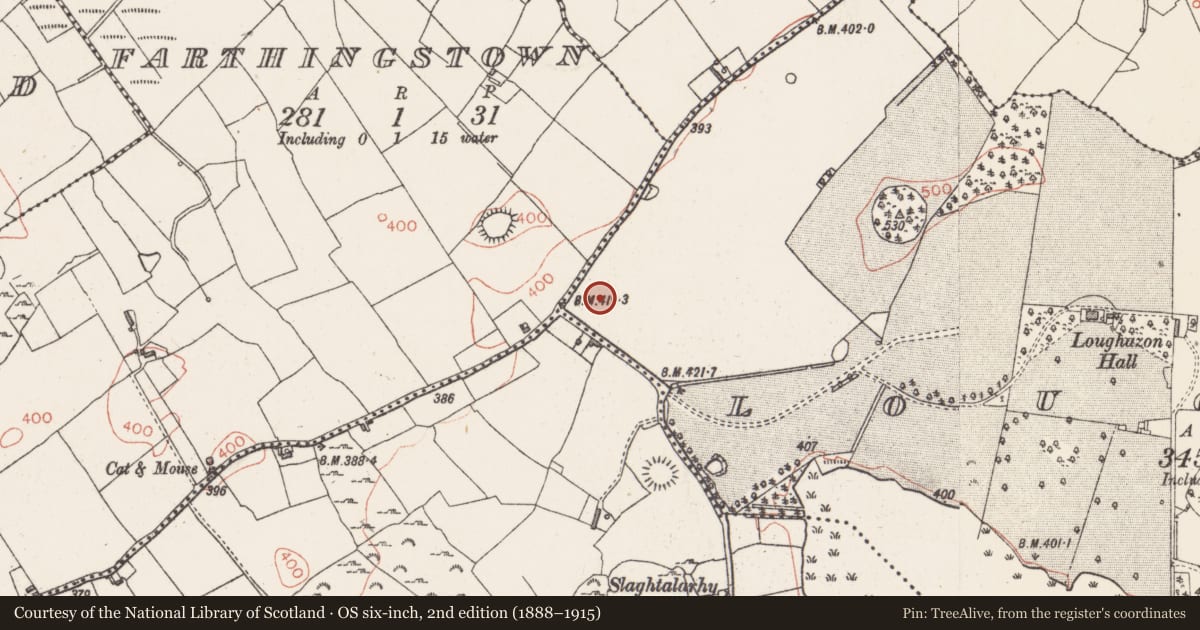 Ordnance Survey six-inch map, 2nd edition (1888–1915) covering the location of Barrow - ring-barrow, Loughan, County Westmeath, with a pin at the register's coordinates