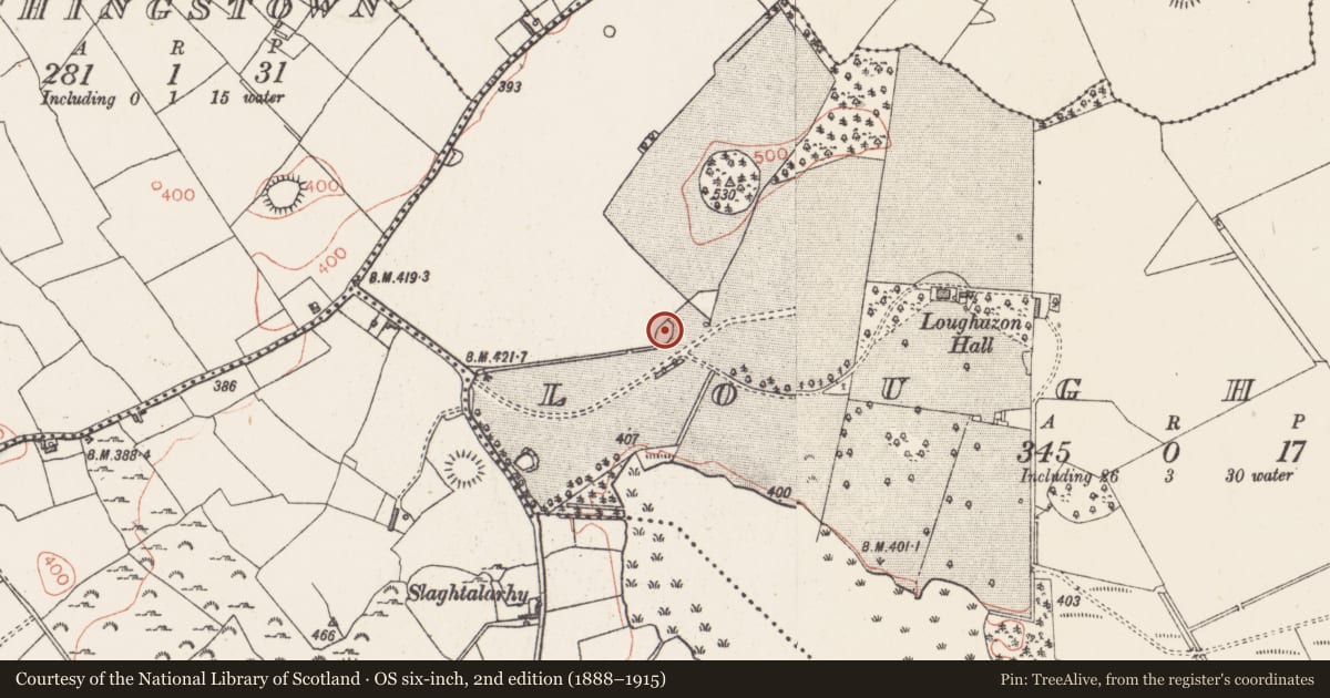 Ordnance Survey six-inch map, 2nd edition (1888–1915) covering the location of Designed landscape - tree-ring, Loughan, County Westmeath, with a pin at the register's coordinates