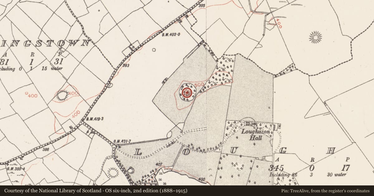 Ordnance Survey six-inch map, 2nd edition (1888–1915) covering the location of Designed landscape - tree-ring, Loughan, County Westmeath, with a pin at the register's coordinates