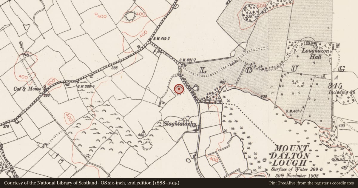 Ordnance Survey six-inch map, 2nd edition (1888–1915) covering the location of Ringfort - rath, Ballynacarrow, County Westmeath, with a pin at the register's coordinates