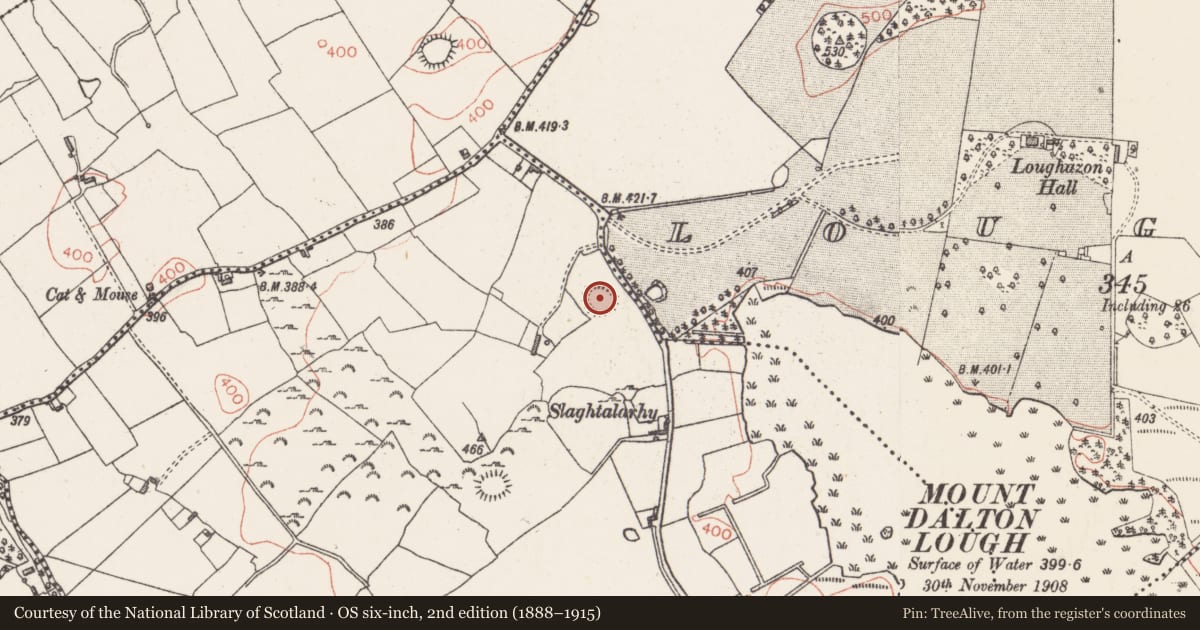 Ordnance Survey six-inch map, 2nd edition (1888–1915) covering the location of Hut site, Ballynacarrow, County Westmeath, with a pin at the register's coordinates