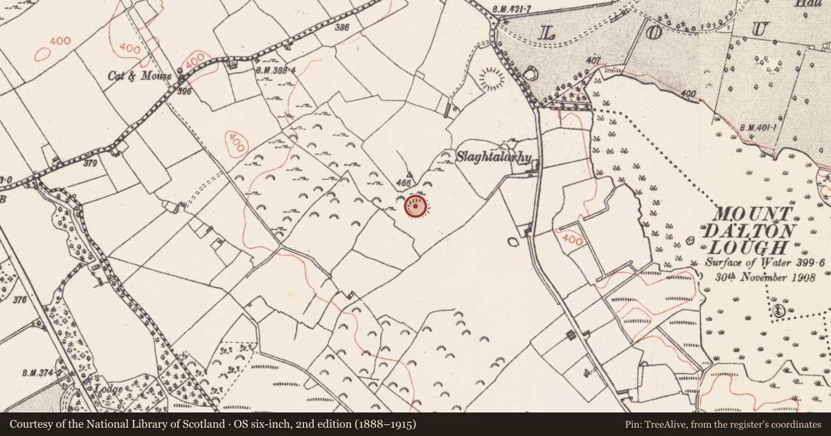 Ordnance Survey six-inch map, 2nd edition (1888–1915) covering the location of Hut site, Ballynacarrow, County Westmeath, with a pin at the register's coordinates