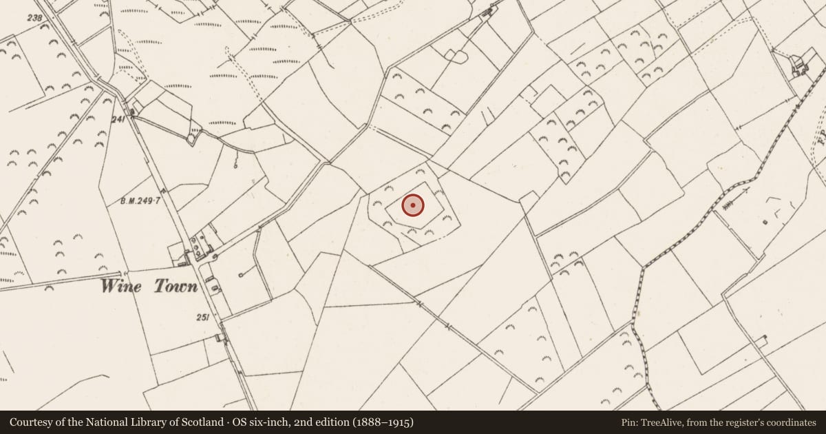 Ordnance Survey six-inch map, 2nd edition (1888–1915) covering the location of Enclosure, Shinglis, County Westmeath, with a pin at the register's coordinates