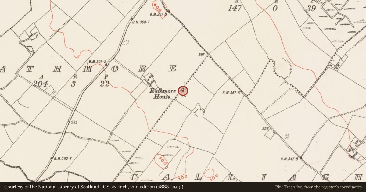 Ordnance Survey six-inch map, 2nd edition (1888–1915) covering the location of Ringfort - rath, Calliaghstown, County Westmeath, with a pin at the register's coordinates