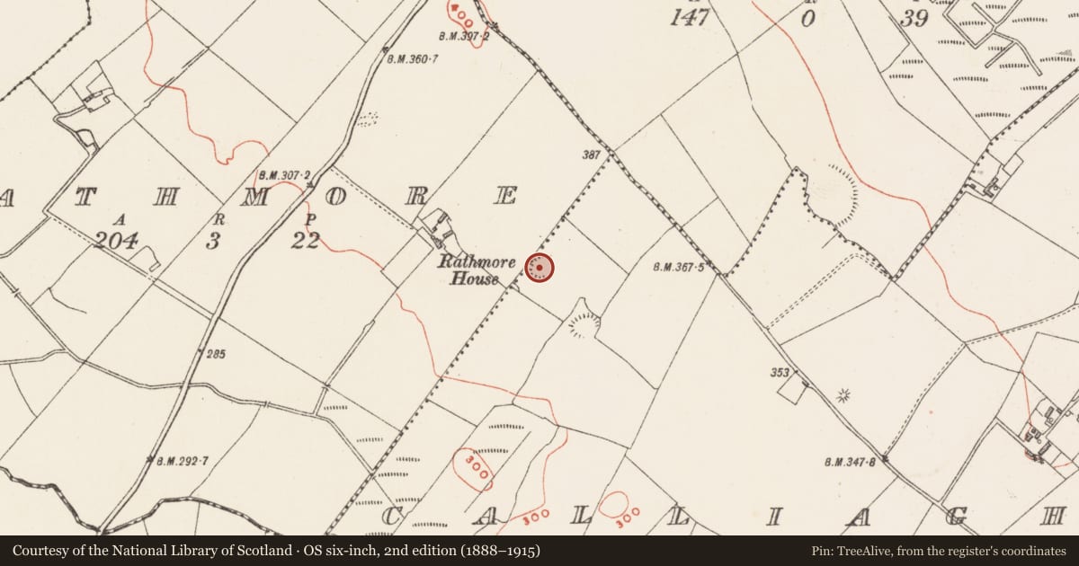 Ordnance Survey six-inch map, 2nd edition (1888–1915) covering the location of House - indeterminate date, Calliaghstown, County Westmeath, with a pin at the register's coordinates
