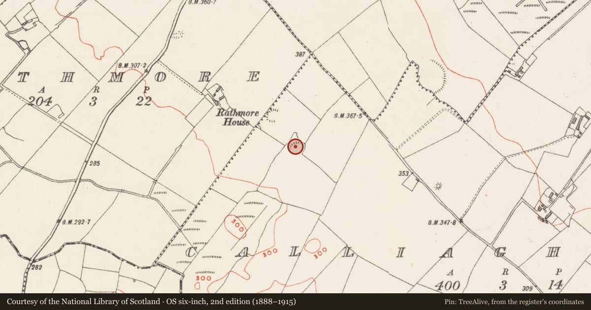 Ordnance Survey six-inch map, 2nd edition (1888–1915) covering the location of Ringfort - rath, Calliaghstown, County Westmeath, with a pin at the register's coordinates