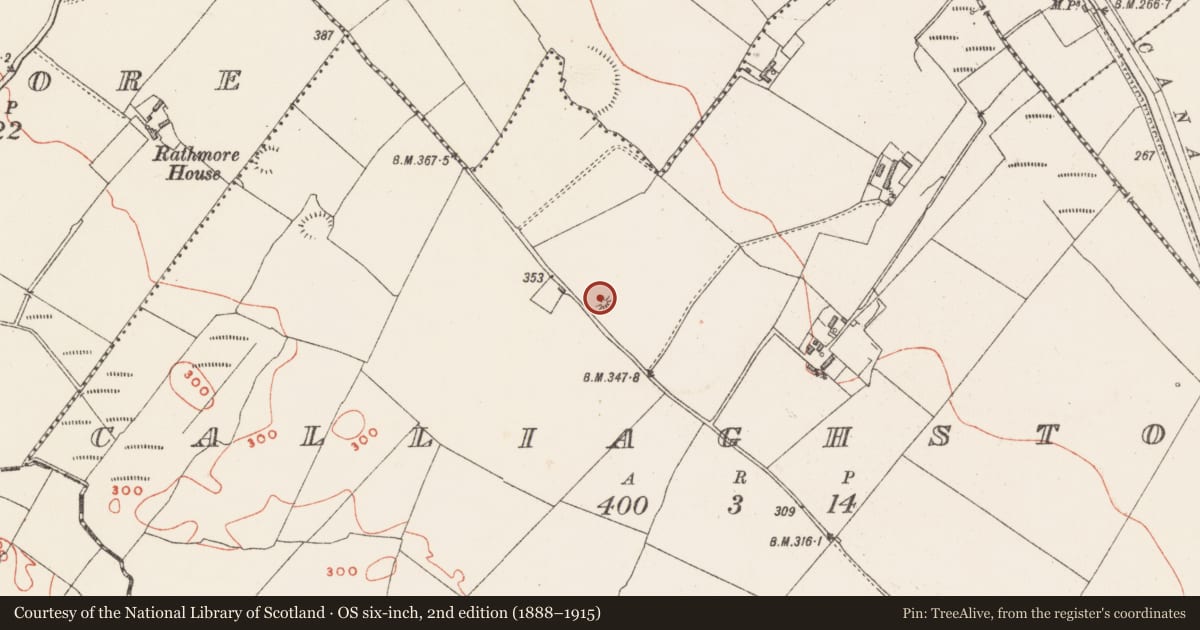 Ordnance Survey six-inch map, 2nd edition (1888–1915) covering the location of Barrow - mound barrow, Calliaghstown, County Westmeath, with a pin at the register's coordinates