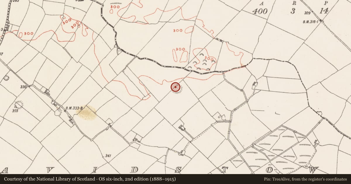 Ordnance Survey six-inch map, 2nd edition (1888–1915) covering the location of Souterrain, Davidstown, County Westmeath, with a pin at the register's coordinates