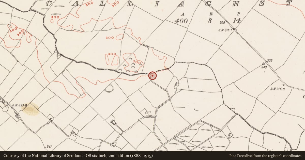 Ordnance Survey six-inch map, 2nd edition (1888–1915) covering the location of Ringfort - rath, Davidstown, County Westmeath, with a pin at the register's coordinates
