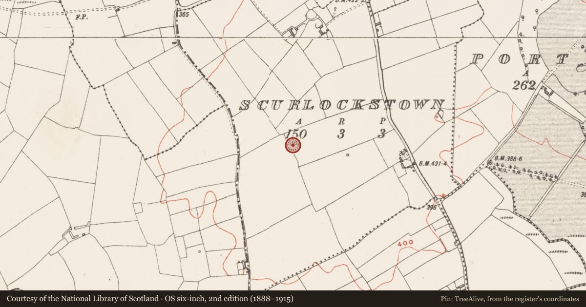 Ordnance Survey six-inch map, 2nd edition (1888–1915) covering the location of Ringfort - rath, Scurlockstown, County Westmeath, with a pin at the register's coordinates