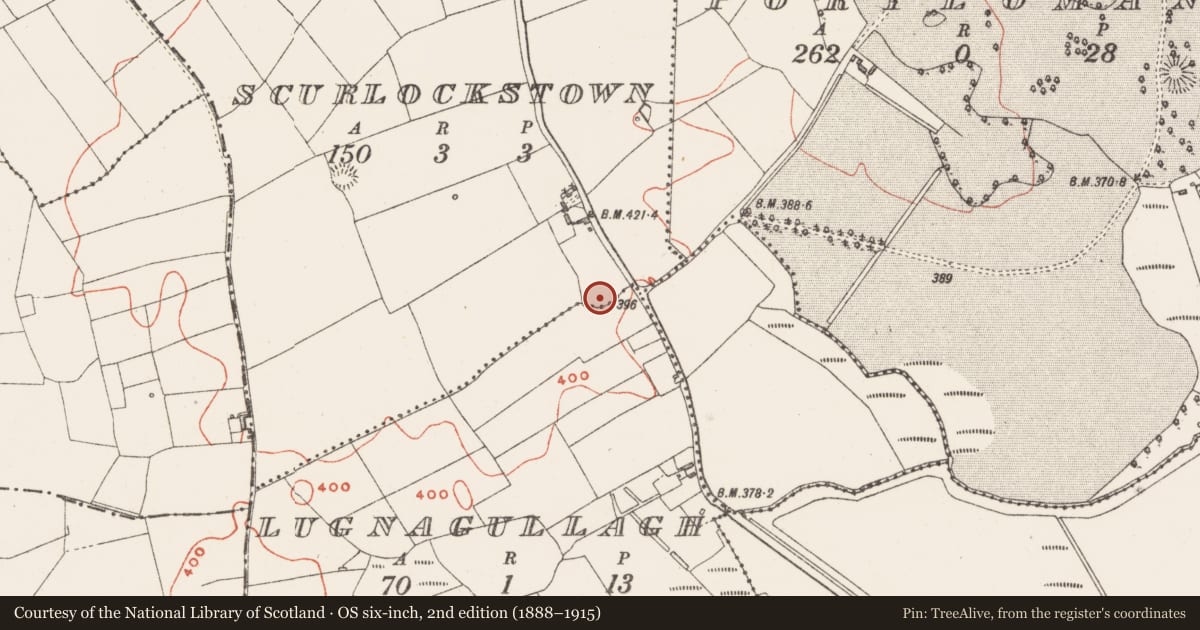Ordnance Survey six-inch map, 2nd edition (1888–1915) covering the location of Ringfort - rath, Scurlockstown, County Westmeath, with a pin at the register's coordinates