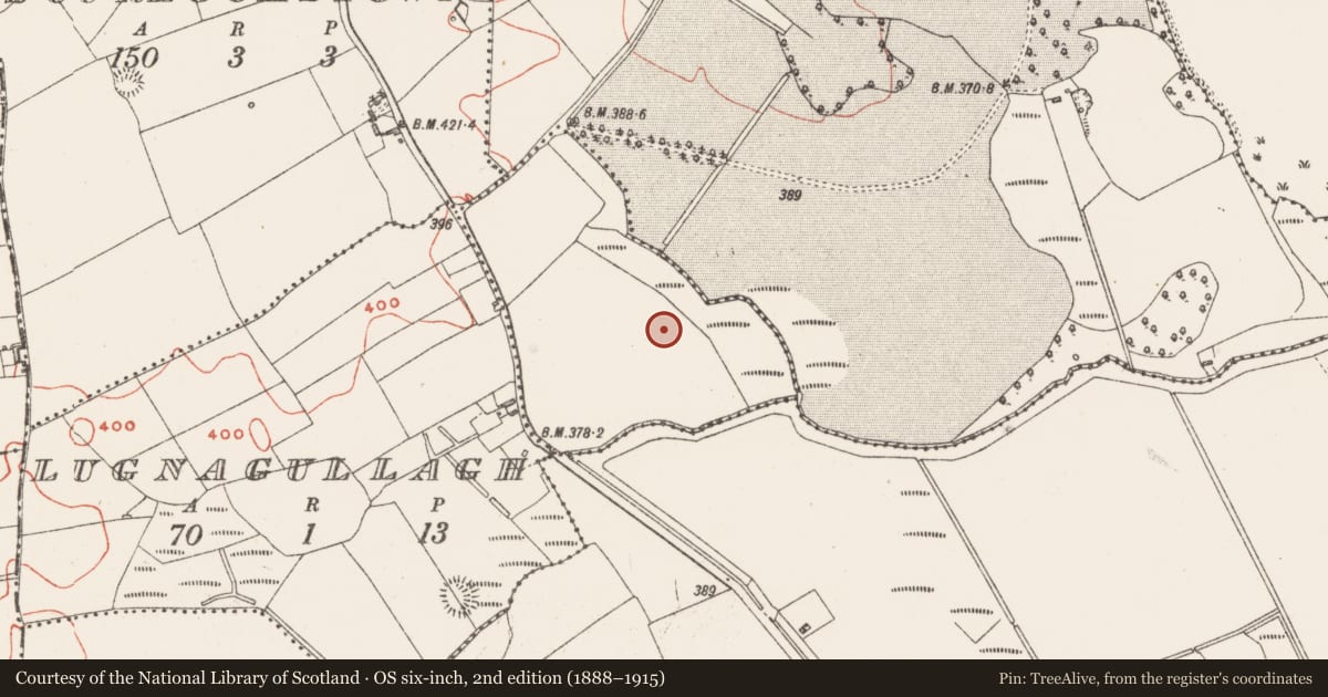 Ordnance Survey six-inch map, 2nd edition (1888–1915) covering the location of Ringfort - rath, Scurlockstown, County Westmeath, with a pin at the register's coordinates
