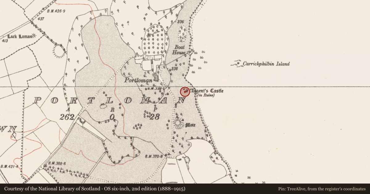 Ordnance Survey six-inch map, 2nd edition (1888–1915) covering the location of Castle - unclassified, Portloman, County Westmeath, with a pin at the register's coordinates