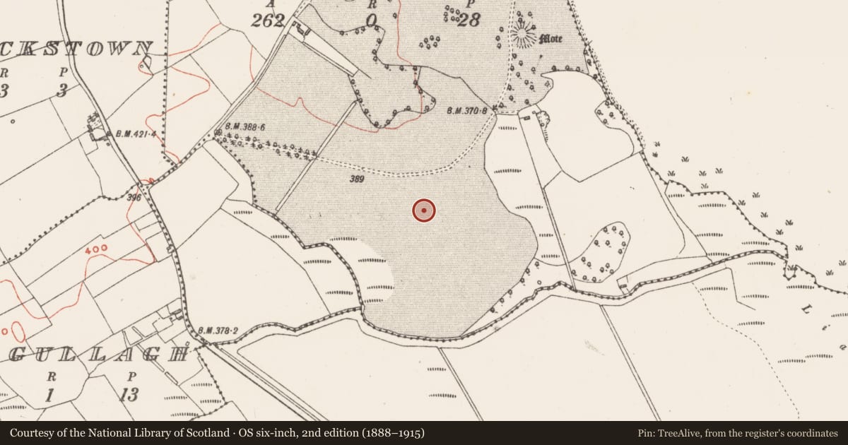 Ordnance Survey six-inch map, 2nd edition (1888–1915) covering the location of Standing stone, Portloman, County Westmeath, with a pin at the register's coordinates