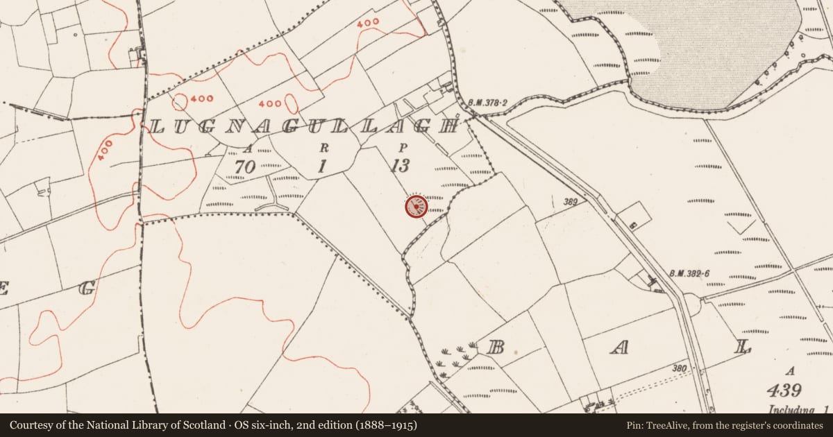 Ordnance Survey six-inch map, 2nd edition (1888–1915) covering the location of Ringfort - rath, Lugnagullagh, County Westmeath, with a pin at the register's coordinates